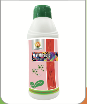 V V Miracle