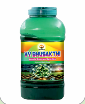 VV BHUSAKTHI